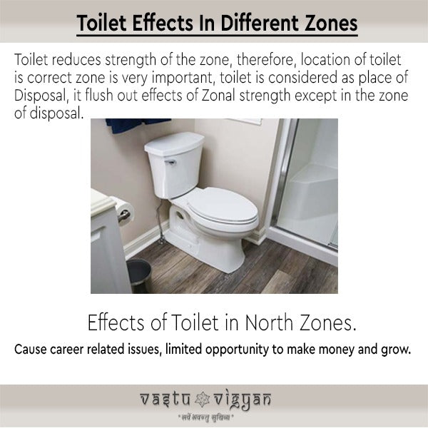 Toilet Effects According to Zones