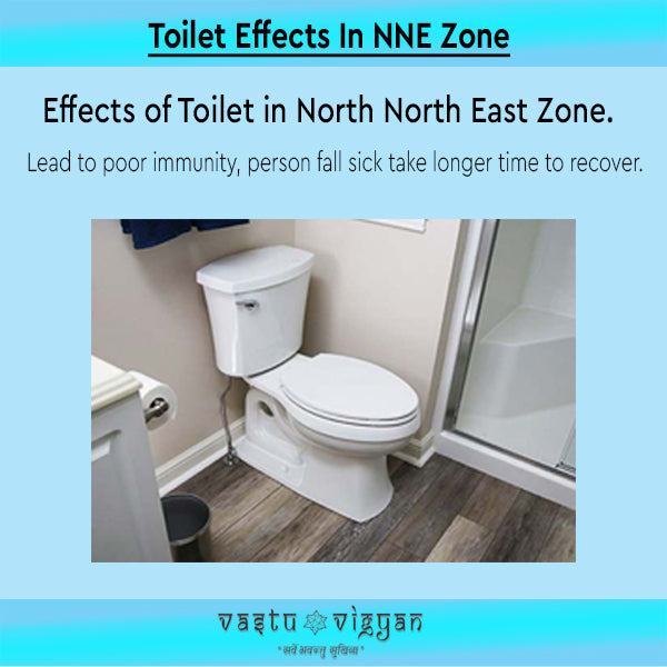 Toilet Effects In North North East Zone