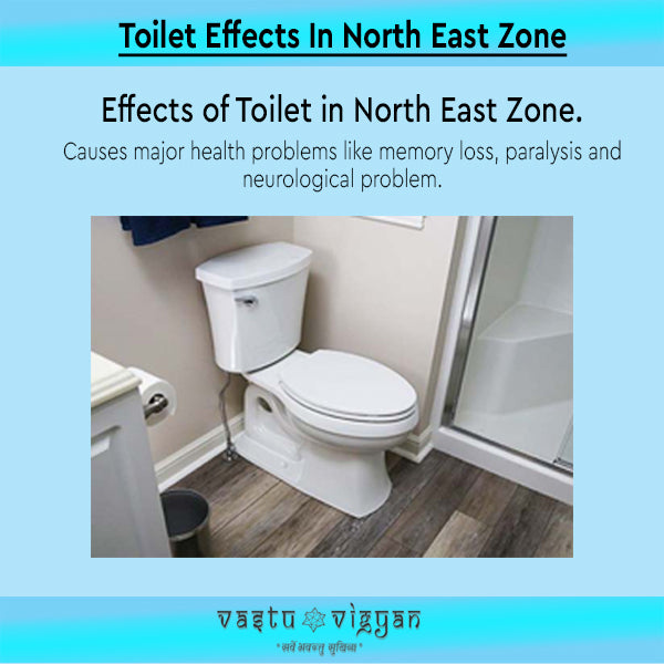 Toilet Effects In North East Zone.