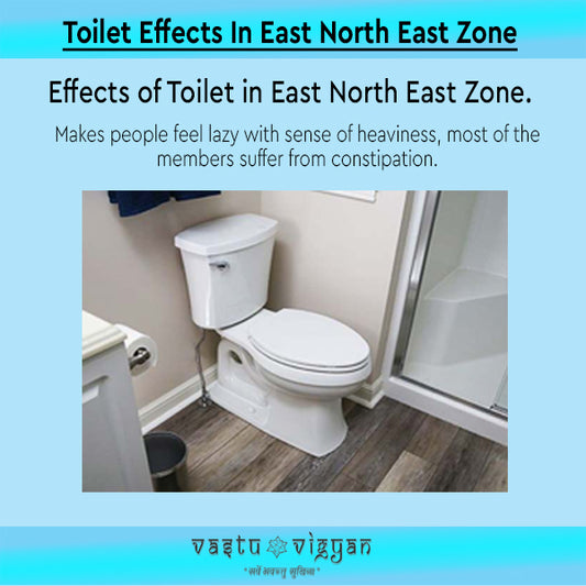 Toilet Effects in  East North East Zone