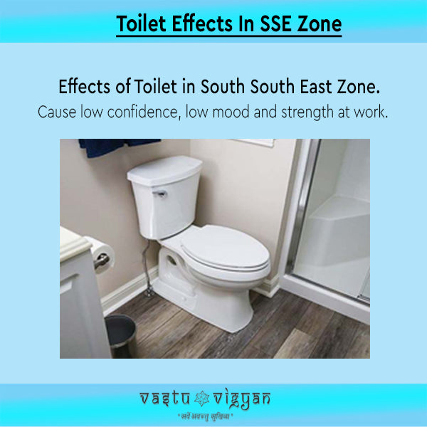 Toilet Effects in South South East Zone.