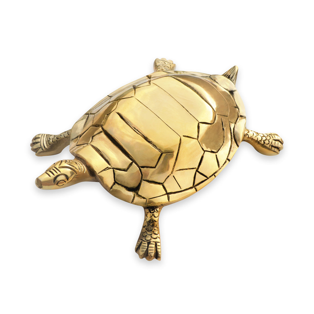 BRASS TORTOISE - vastu-vigyan