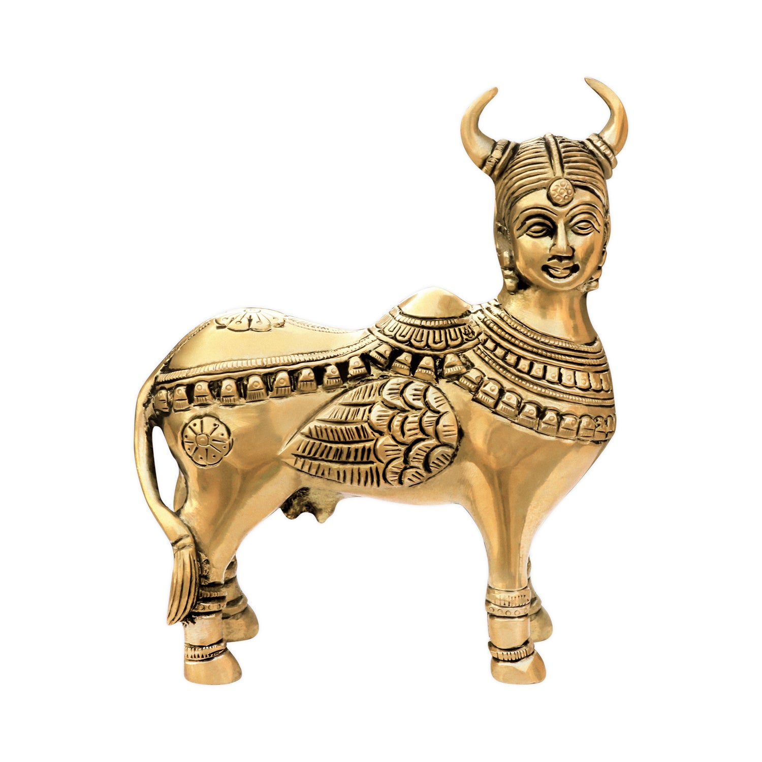 Use of Kamdhenu Cow as per Vaastu/ Buy online for home and office ...